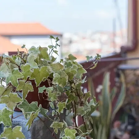 Apartament Art Wine Loft Vila Nova de Gaia